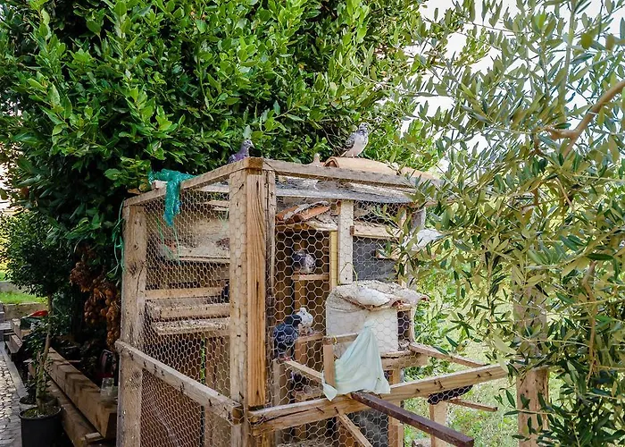 Апартаменты Rajka *